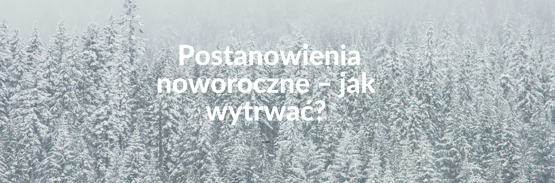 Postanowienia noworoczne – jak wytrwać?