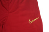 Spodnie męskie Nike Dri-FIT Academy 21 CW6122 687