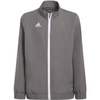 Bluza dziecięca adidas Entrada 22 H57539