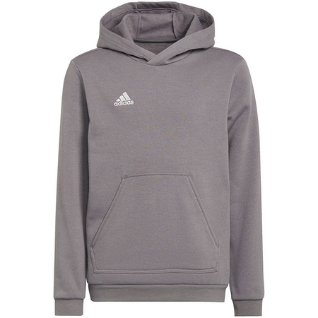 Dres dziecięcy Adidas Entrada 22 komplet szary