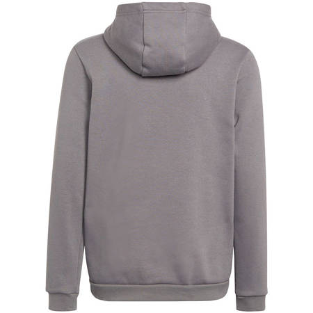 Bluza dziecięca Adidas Entrada 22 Hoody H57515