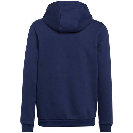 Bluza dziecięca Adidas Entrada 22 Hoody H57517