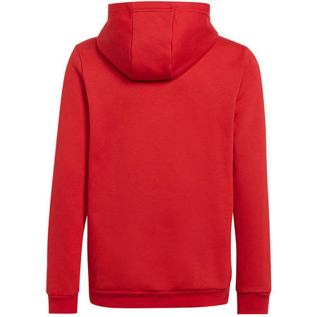 Bluza dziecięca Adidas Entrada 22 Hoody H57566