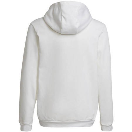 Bluza dziecięca Adidas Entrada 22 Hoody HG6303