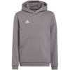 Bluza dziecięca Adidas Entrada 22 Hoody H57515